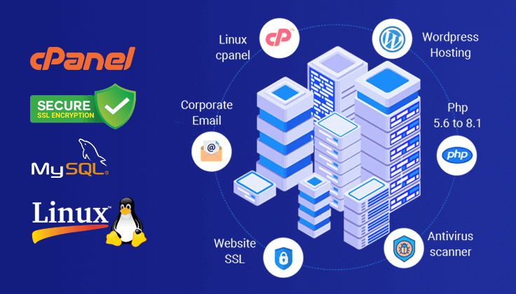 Web Hosting company in delhi